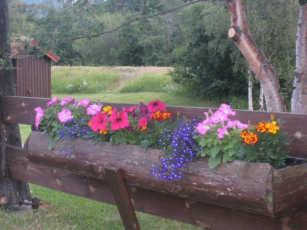 Smegarden Camping Oppdal Camera foto